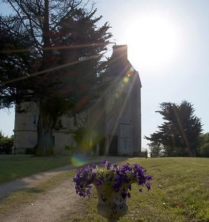 Chateau Fauchey Bed & Breakfast Cadillac Exterior photo